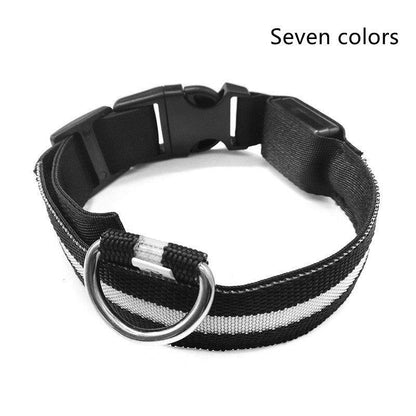 Luminous Glow-In-The-Dark Led Pet Collar: The Ultimate Night Safety Accessory For Dogs And Cats